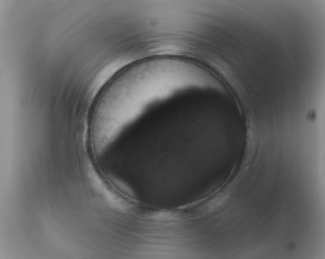 X0000110961418200907022210