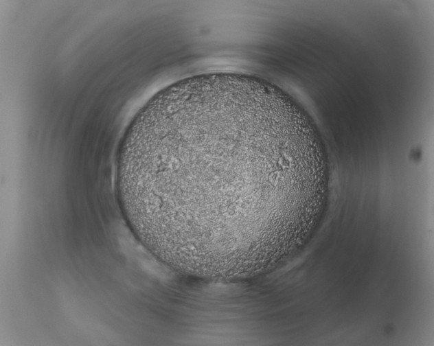 X0000110961419200907022210