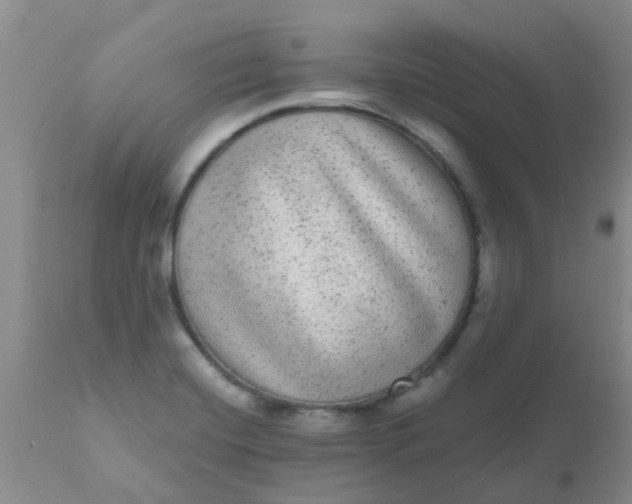 X0000110961420200907022210