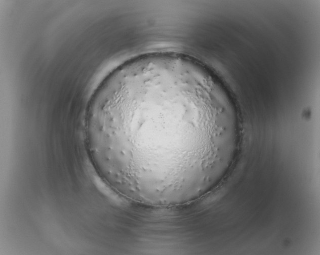 X0000110961421200907022210