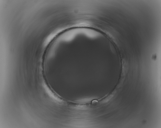 X0000110961422200907022210