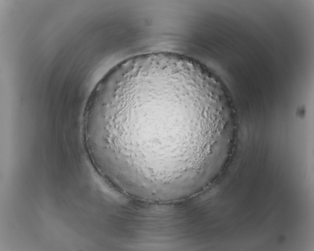 X0000110961423200907022211