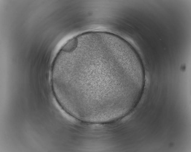 X0000110961424200907022211