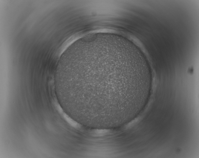 X0000110961425200907022211