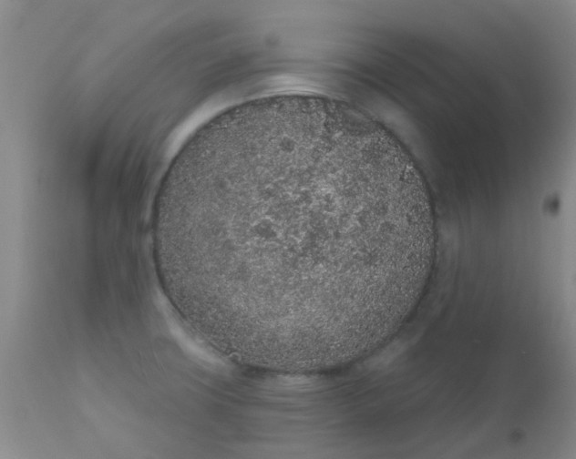 X0000110961427200907022211