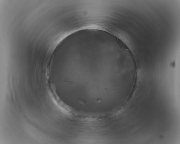 X0000110961428200907022211