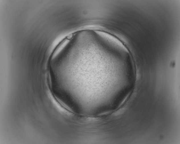 X0000110961430200907022211