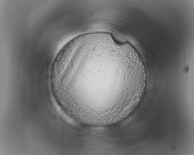 X0000110961431200907022211