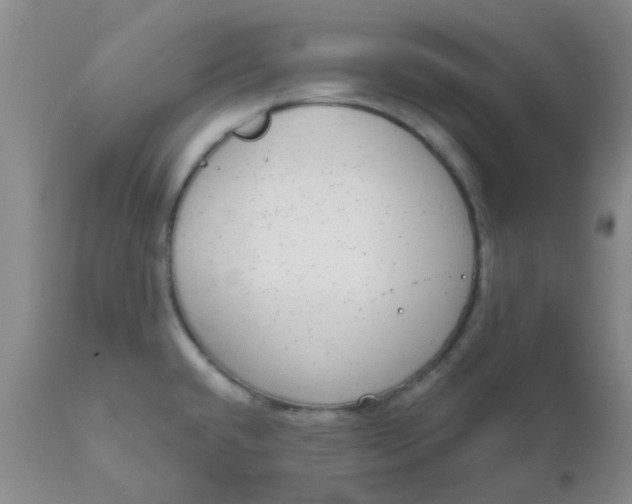 X0000110961432200907022211