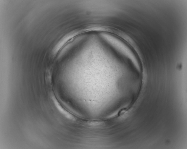 X0000110961433200907022211