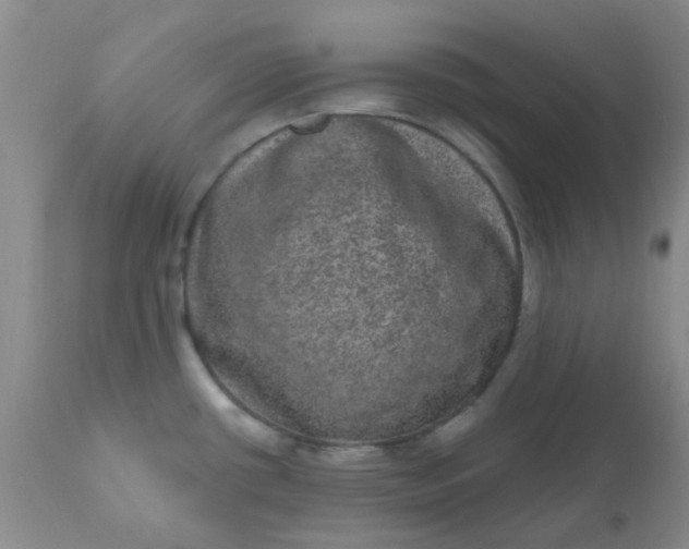 X0000110961434200907022211