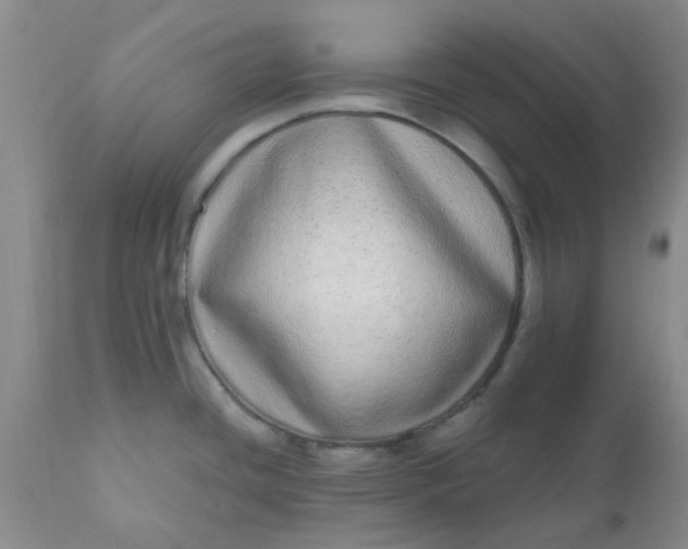 X0000110961436200907022211