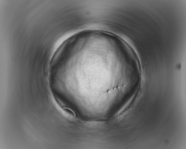 X0000110961437200907022211