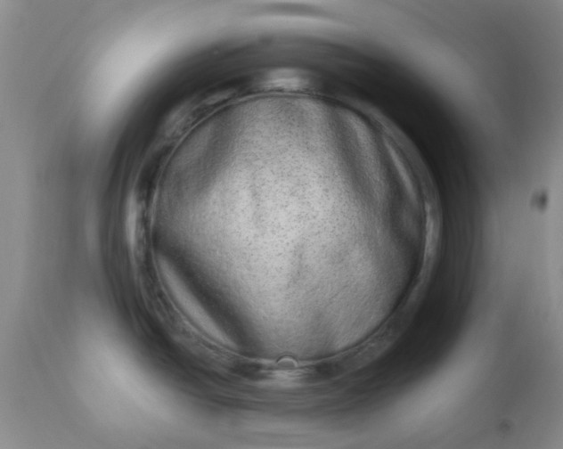 X0000110961438200907022211