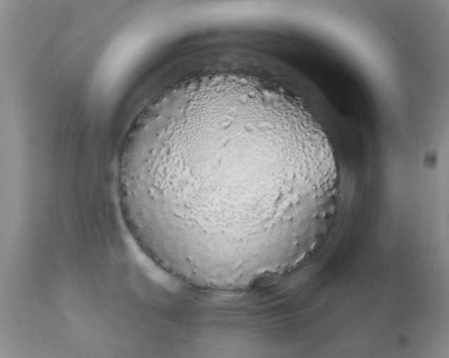 X0000110961439200907022211