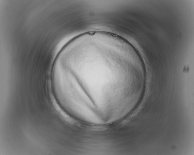 X0000110961440200907022211