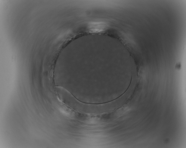 X0000110961441200907022210