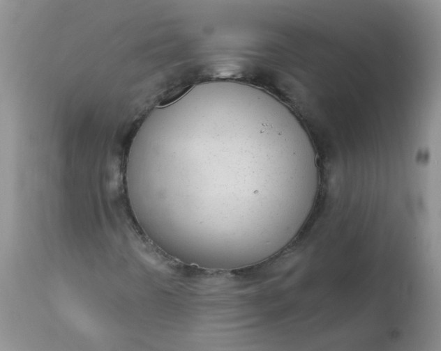 X0000110961442200907022210