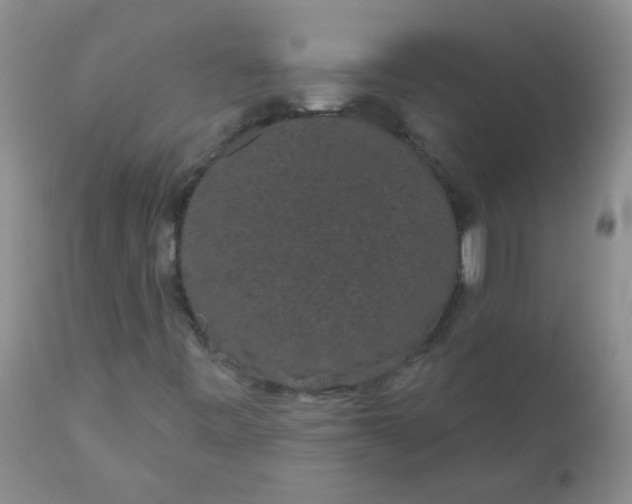 X0000110961443200907022210