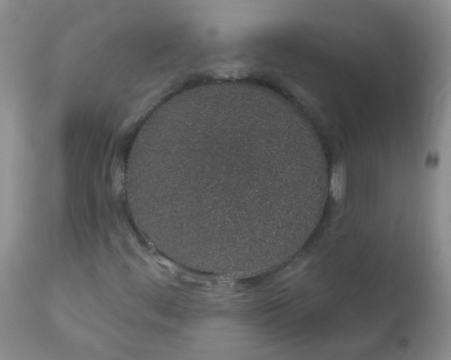 X0000110961444200907022210