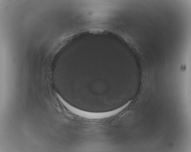 X0000110961445200907022210