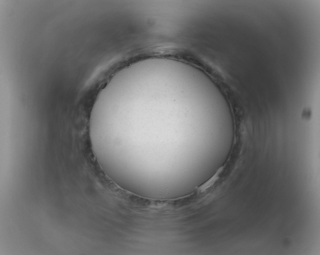 X0000110961447200907022210