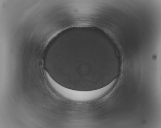 X0000110961449200907022210