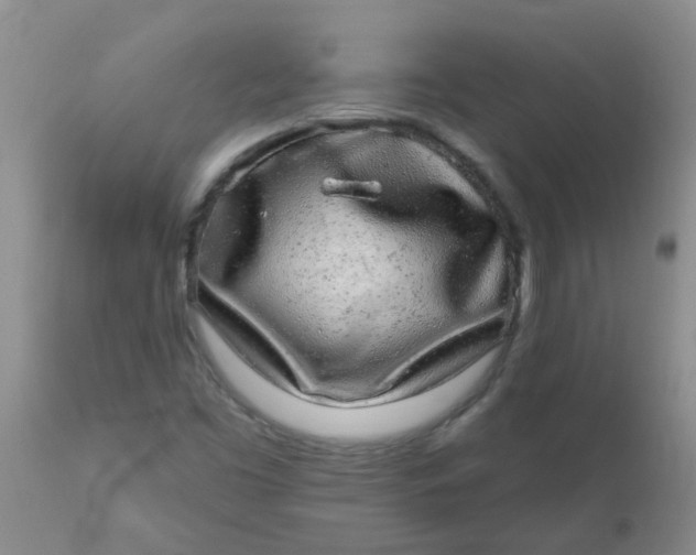 X0000110961453200907022210