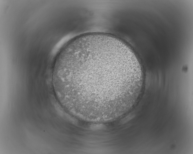 X0000110961454200907022210