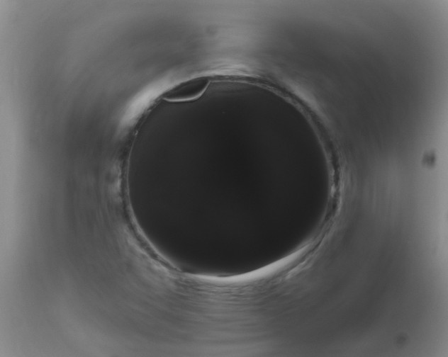 X0000110961455200907022210