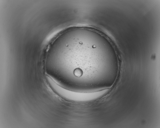 X0000110961456200907022210