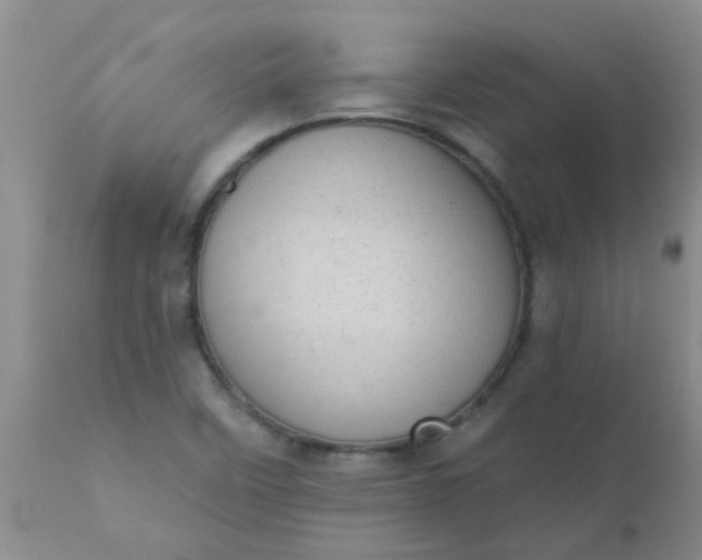 X0000110961458200907022210