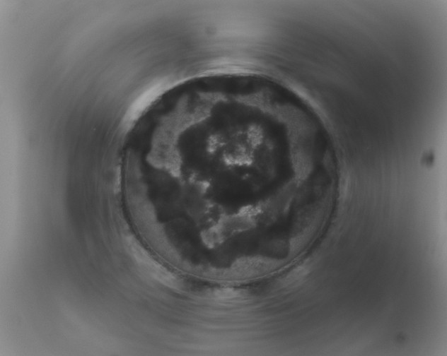 X0000110961459200907022210