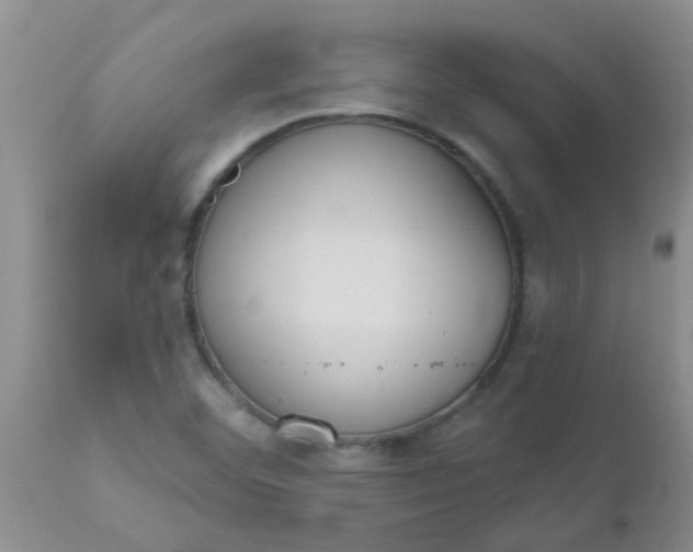 X0000110961460200907022209