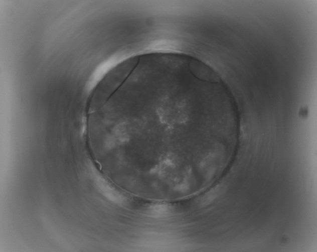 X0000110961461200907022209