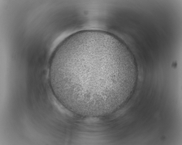 X0000110961462200907022209