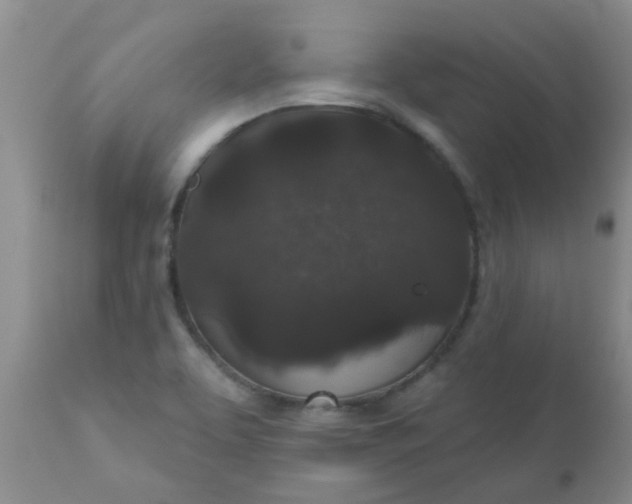 X0000110961463200907022209