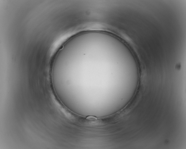 X0000110961464200907022209