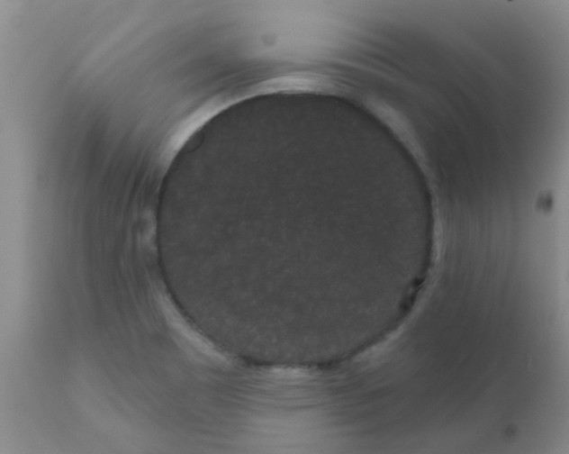 X0000110961465200907022209