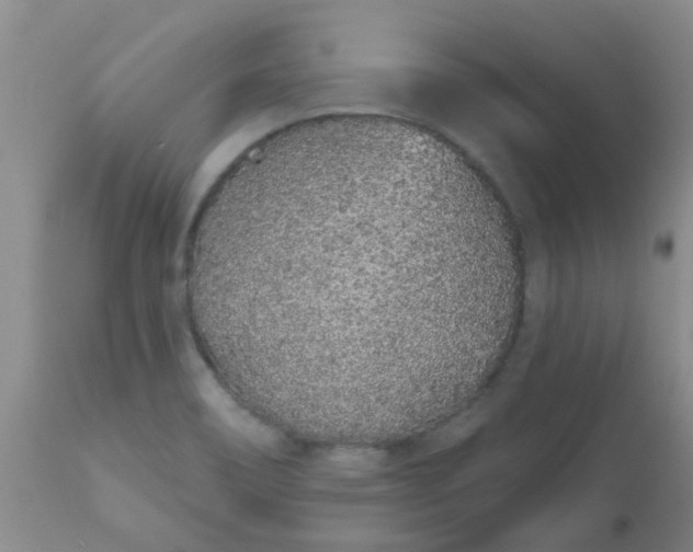 X0000110961466200907022209