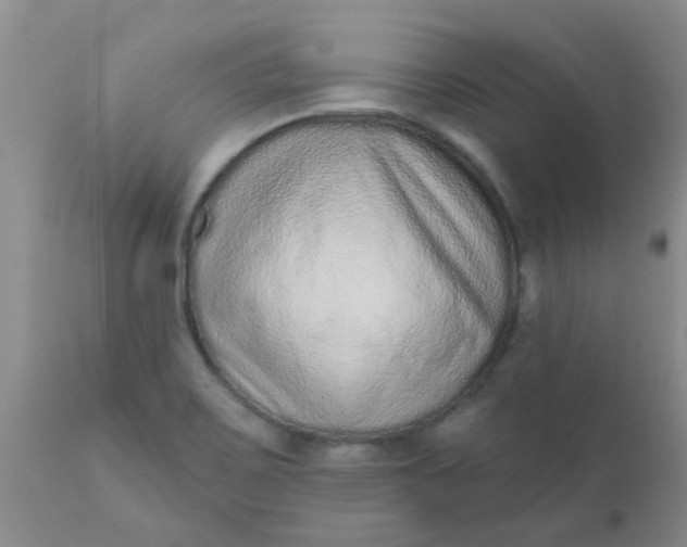 X0000110961467200907022209