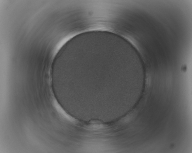 X0000110961468200907022209