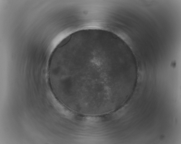 X0000110961469200907022209