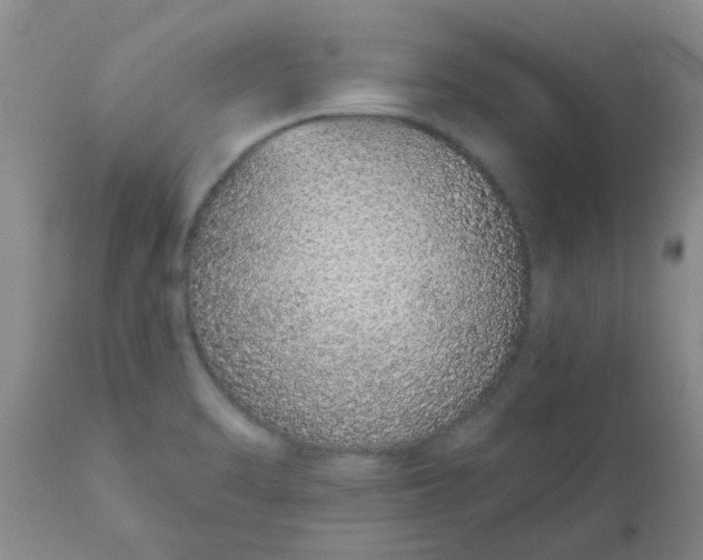 X0000110961470200907022209