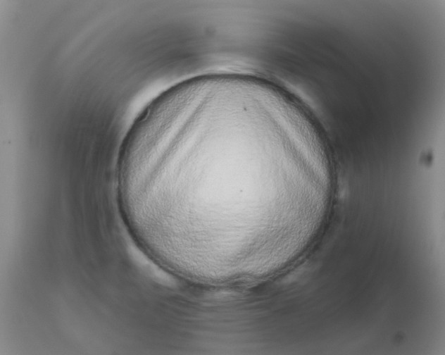 X0000110961471200907022209