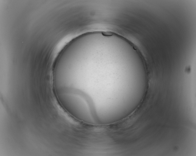 X0000110961472200907022209