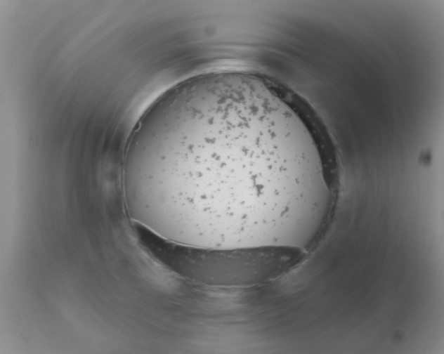 X0000110961473200907022209