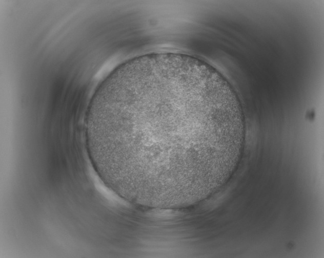 X0000110961474200907022209