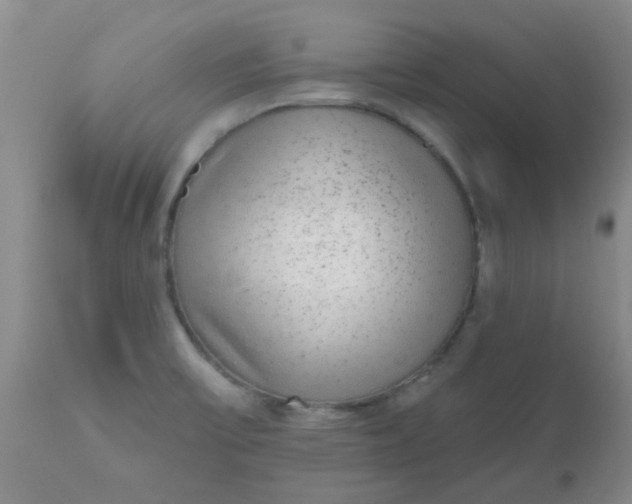 X0000110961475200907022209