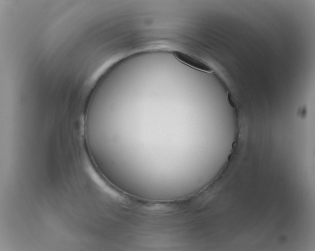 X0000110961476200907022209